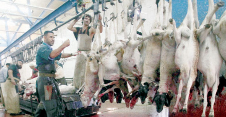 ارتفاع ذبحيات الأغنام والأبقار في رمضان