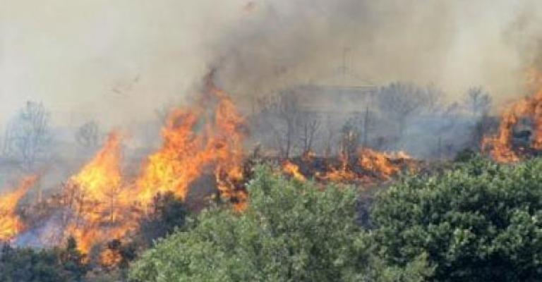 حريق 80 دونم مزارع في وادي الكرك