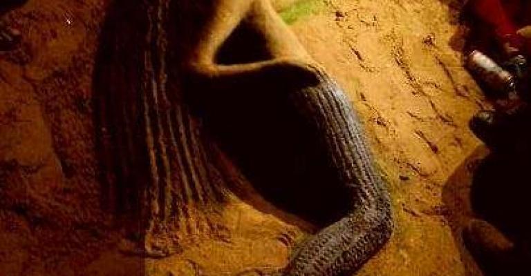 الزيود :سأجعل من مديتني متحفاً بيئيا