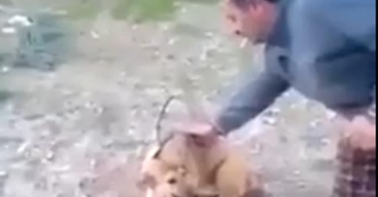 أردني يحرق كلبا ويثير جدلا في مواقع التواصل (شاهد)