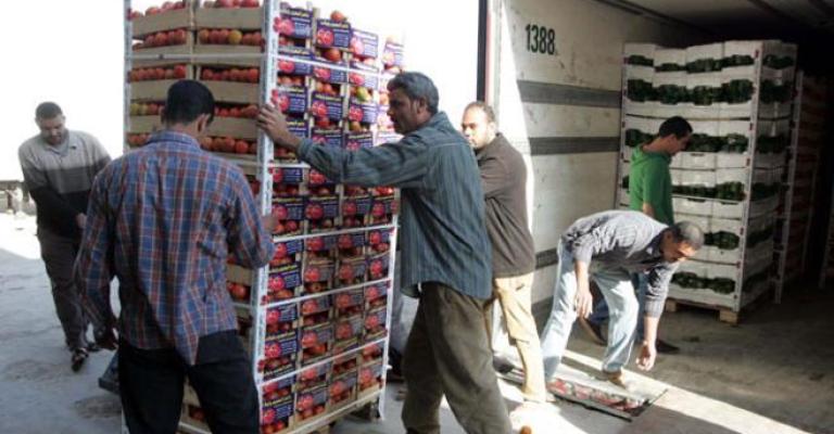 "مزارعي وادي الأردن": قرارات حظر الاستيراد أساءت للمنتج المحلي