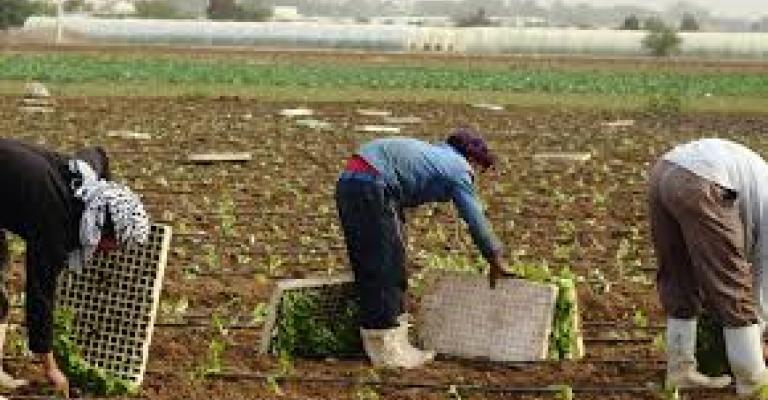 تعويض المزارعين 2ر1 مليون دينار من صندوق المخاطر