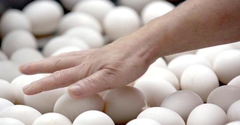 استمرار انخفاض أسعار البيض إلى ما بعد رمضان