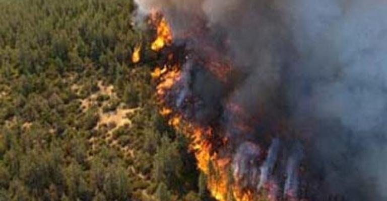 دبين: حريق يأتي على 10 دونمات من الأشجار المعمرة