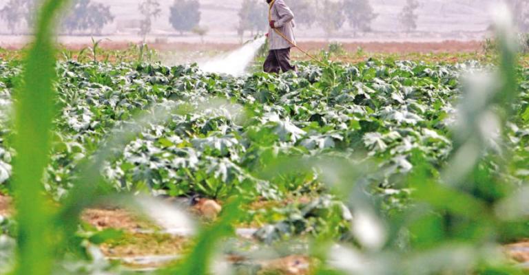 تخفيض نسبة العمالة الوافدة بمختلف القطاعات