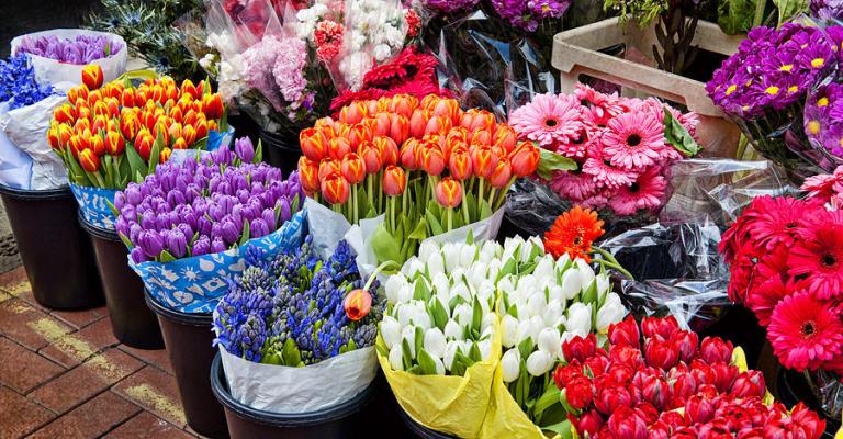 أمانة عمان تطرح عطاء لإنشاء بورصة أزهار جديدة