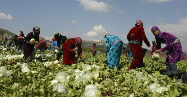 غياب الحماية للمزارعين من أصحاب العمل يزيد الانتهاكات ضد العاملات