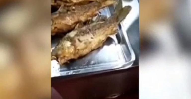 في الصين.. سمكة مقلية "تنتفض" على المائدة (شاهد)
