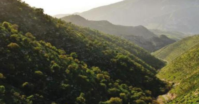 النهج التشاركي لإدارة أراضي محمية اليرموك الطبيعية