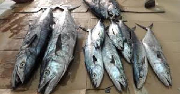 الزراعة والأمانة تبحثان إقامة سوق للأسماك