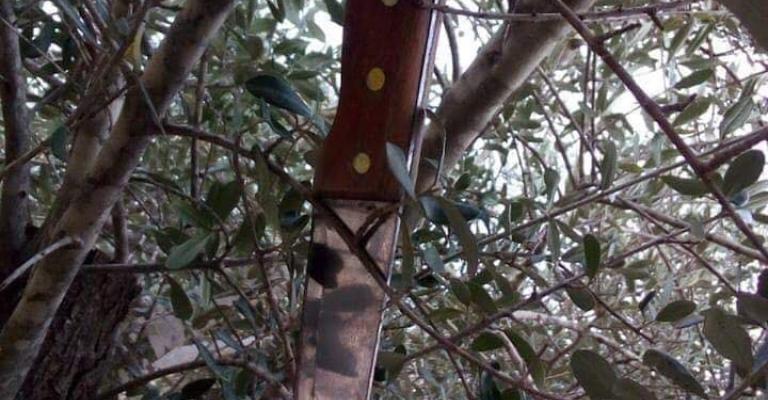 سكين معلقة على شجرة تفك لغز جريمة بشعة ضحيتها زوجان