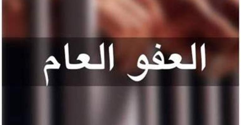 غنيمات: الحكومة لم تحسم قرارها بشأن العفو العام