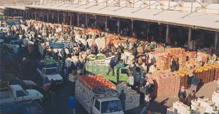 الأمانة تعفي المزارعين من رسوم المنتجات البستانيه المعده للتصدير في السوق المركزي