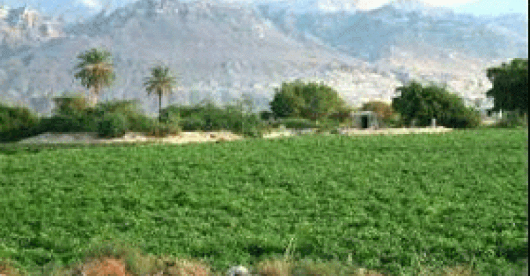 خلاف على مضخة ماء يتسبب بمقتل مواطن