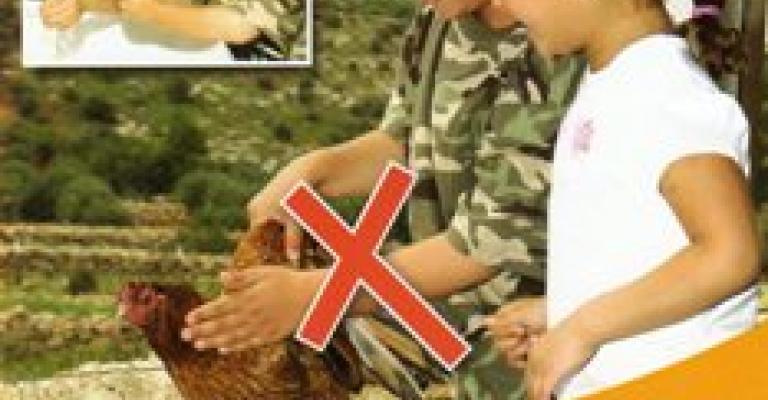 الصحة تقرأ واقع الإعلام في تعاطيه مع أنفلونزا الطيور الصحة تقرأ واقع الإعلام في تعاطيه مع أنفلونزا الطيور