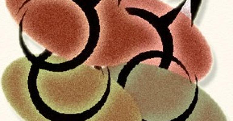 مثليو الجنس في الأردن: من الحمامات العامة إلى الانترنت مثليو الجنس في الأردن: من الحمامات العامة إلى الانترنت