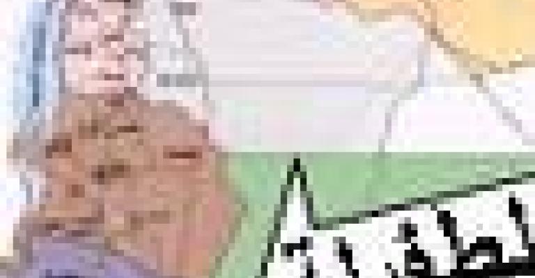 طموح نيابي لافت لدى سيدات الطفيلة