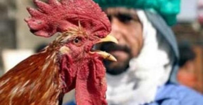 الصحة تعد خطة وطنية لمواجهة الكوارث