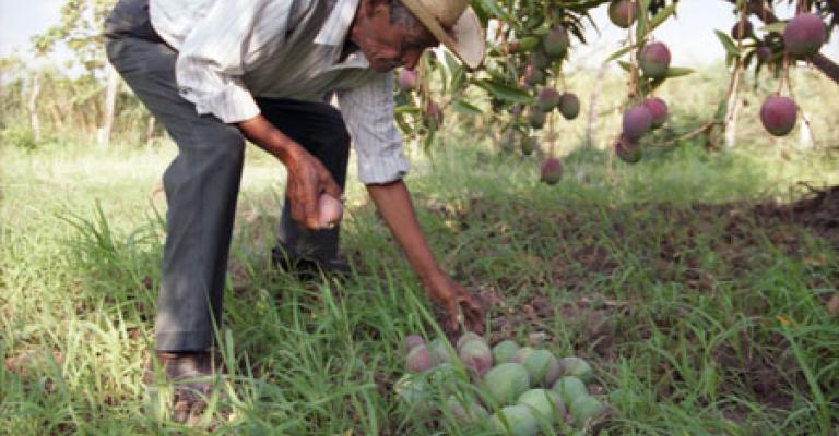 الدغمي: طلّعنا المستثمر من الباب رجع من الشباك