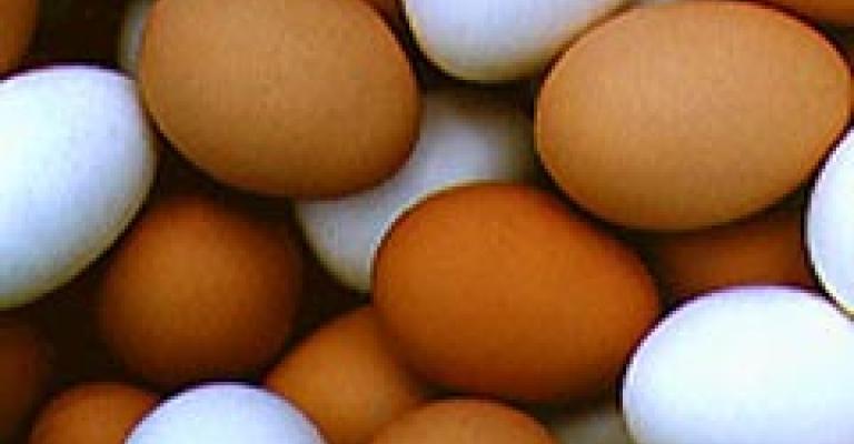 العوران: فتح باب الإستيراد سيؤدي إلى انهيار سوق الدواجن العوران: فتح باب الإستيراد سيؤدي إلى انهيار سوق الدواجن