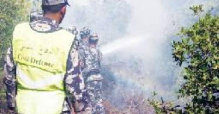 نتائج التحقيق الأولية: حريق دبين بفعل فاعل