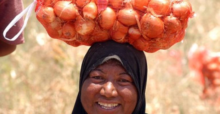 نقص المياه والأعلاف أهم تحديات الزراعة في 2009