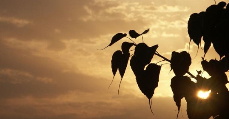 "قروض إنعاش" لاحياء القطاع الزراعي