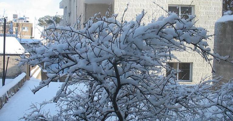 الحرارة الى ارتفاع