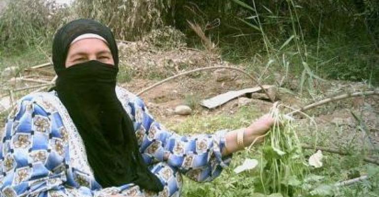 المطار الزراعي..لن يحقق عائد اقتصادي على الدولة المطار الزراعي..لن يحقق عائد اقتصادي على الدولة