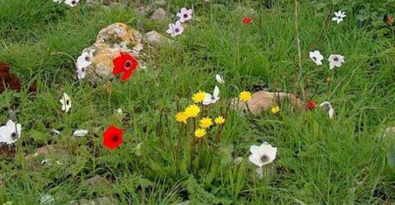 أجواء ربيعية الاربعاء والخميس