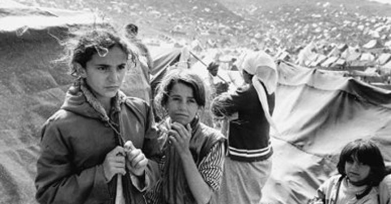 8 أكراد في العازلة يغادرون إلى ايرلندا 8 أكراد في العازلة يغادرون إلى ايرلندا