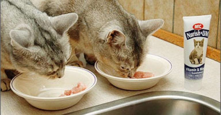 مالية النواب تبحث دخول طعام للقطط للسوق وتحيل مخالفات لمجلسها