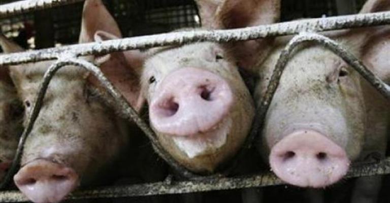 النائب ذنيبات يسأل عن"الوقاية من انفلونزا الخنازير"