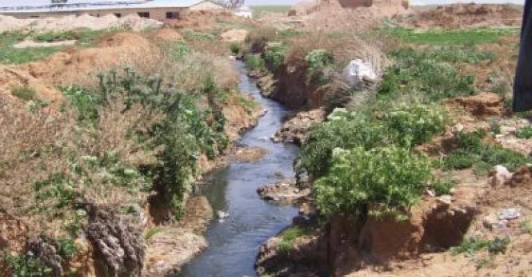 بالصور.. مستنقعات مياه عادمة تهدد منطقة الوالة بالصور.. مستنقعات مياه عادمة تهدد منطقة الوالة