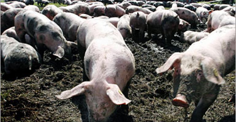 الصحة: لا نستطيع تأجيل العمرة والقرار للسعودية