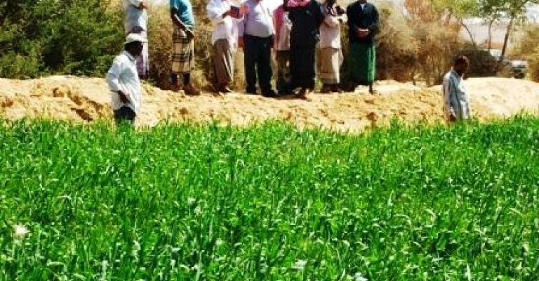 مركز الإرشاد الزراعي غور المزرعة آيل للسقوط