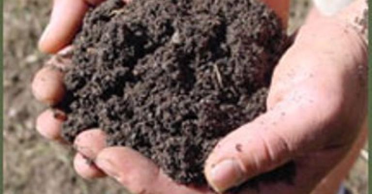 ارتفاع أسعار السماد تقلق مزارعي الأغوار ارتفاع أسعار السماد تقلق مزارعي الأغوار