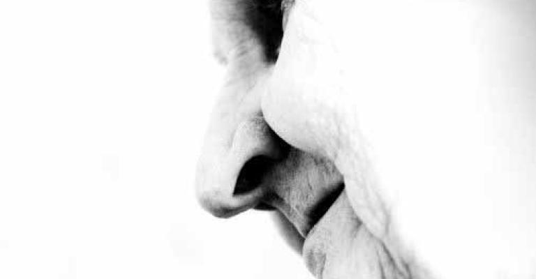 6 الاف قضية نفقة العام الماضي