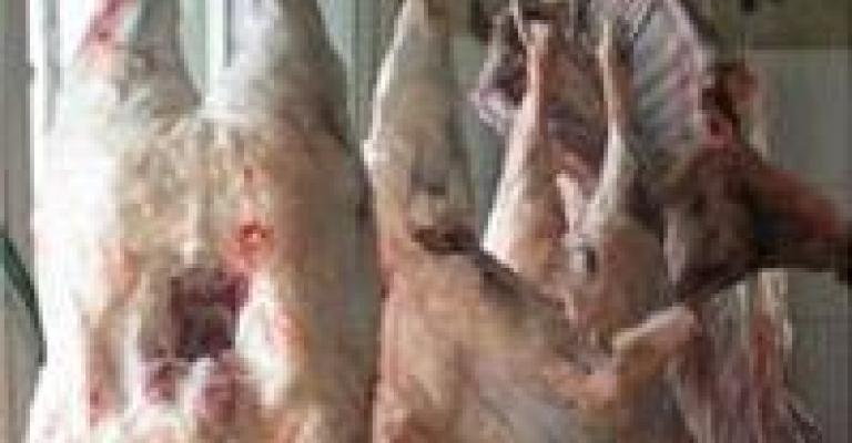 الزراعة النيابية تتفق مع المصري بالتحفظ على شحنة العجول