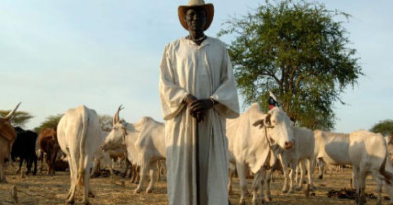 الزراعة تنتظر موافقة مجلس الوزراء لاستثمار أراضي السودان