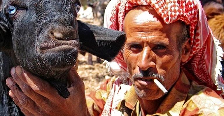 حملة لمقاطعة اللحوم الحمراء حملة لمقاطعة اللحوم الحمراء