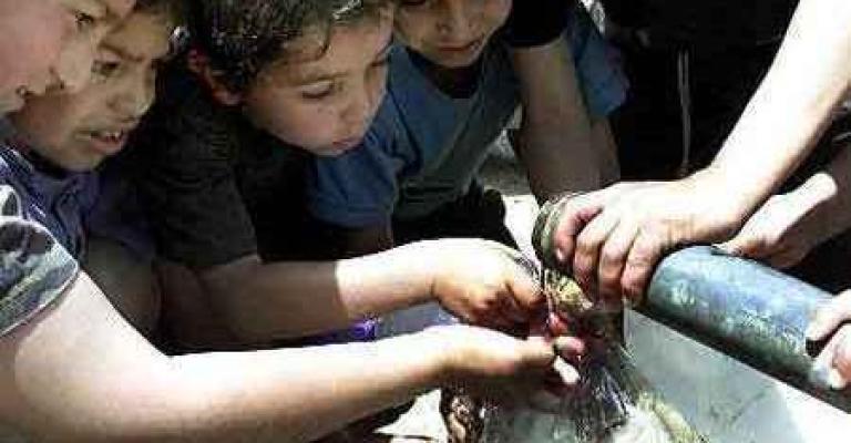 لجنة لدراسة قضية موزعي المياه في وادي الأردن