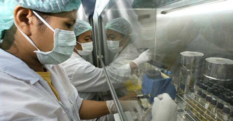 توقعات بوصول دفعة مطعومH1 N1 في تشرين الثاني