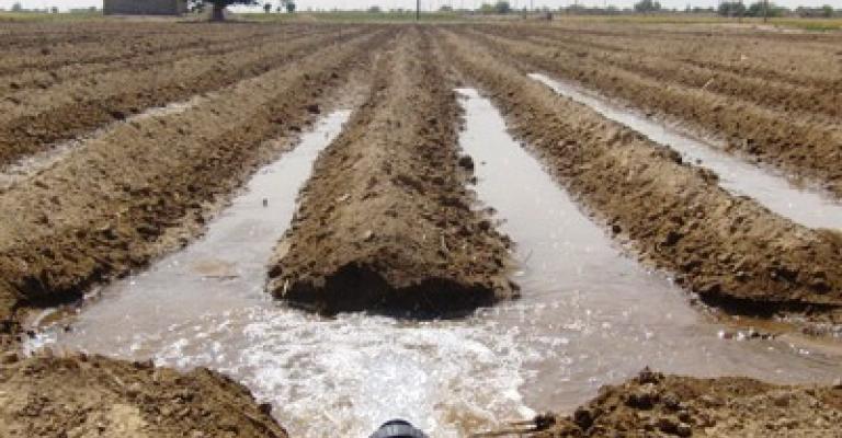 متنفذون يعتدون على مياه الري في الأغوار الجنوبية