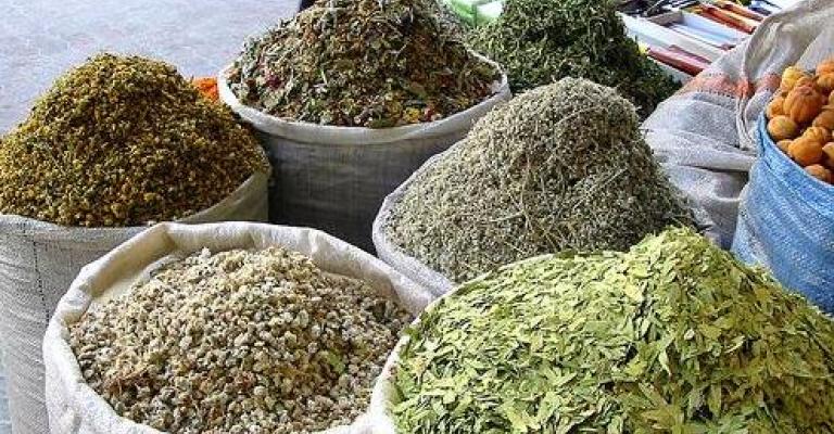 وقف برامج الأعشاب بين مؤيد ومعارض