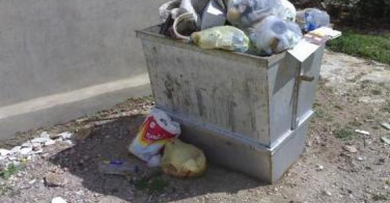 النفايات تغمر المشارع في الغور الشمالي..(فيديو)
