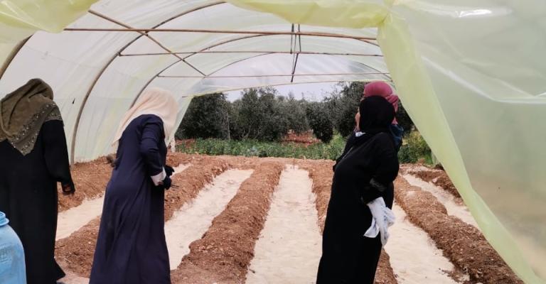 نساء سوريات يعملن في مشروعهن في قرية حرتا باربد (هبة الله ملكاوي)
