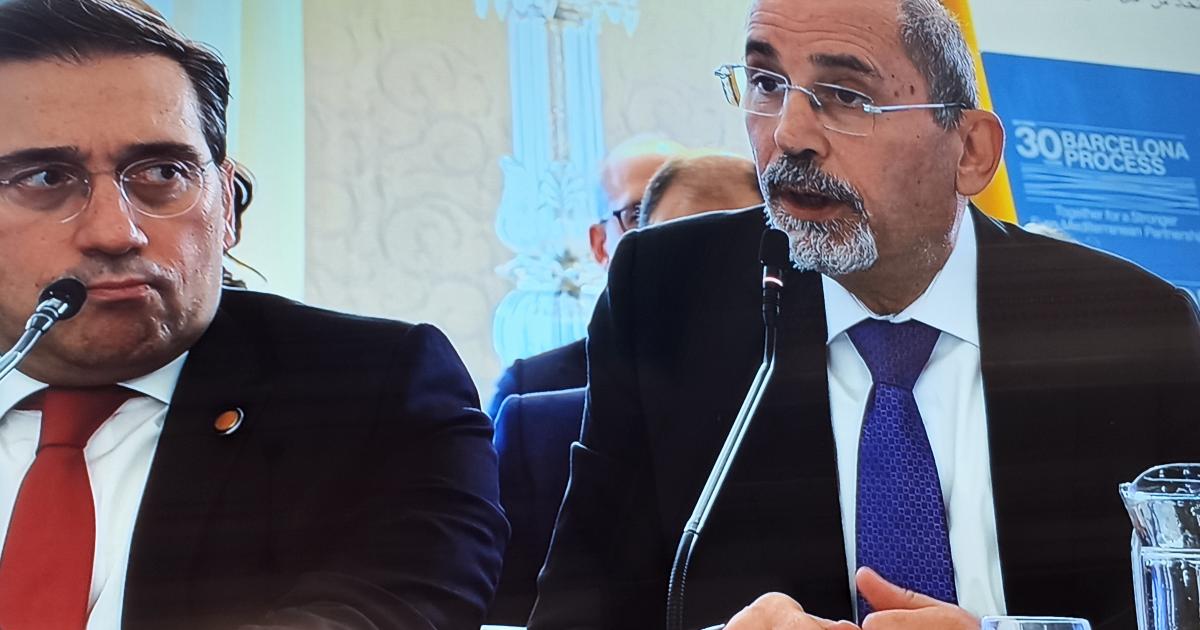 Safadi: Israeli occupation reveals its inhumane nature and exacerbates Palestinian suffering