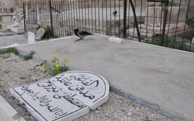 الاحتلال يصادر 1800 متر من مقبرة باب الرحمة بالقدس