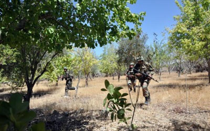 سانا: مقتل أردنيين في إدلب